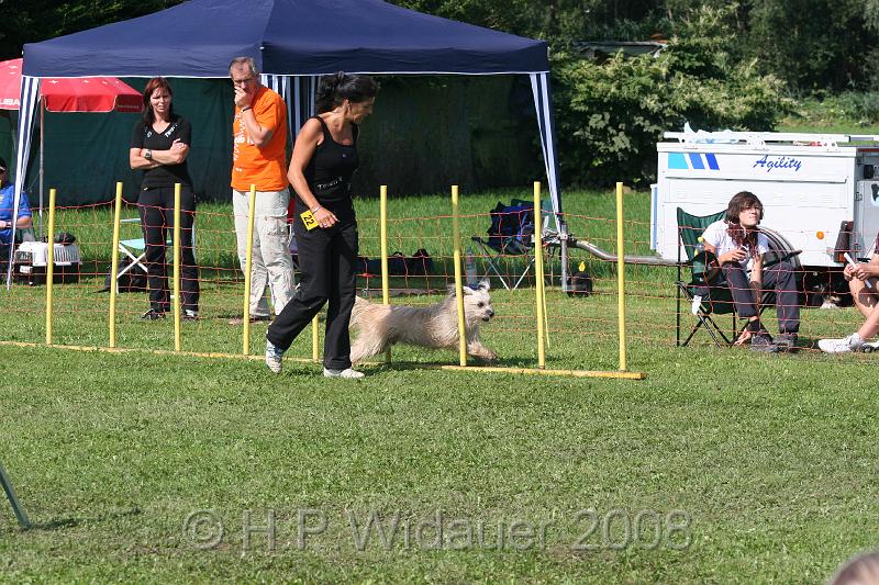 jubil.lusten. 221.jpg